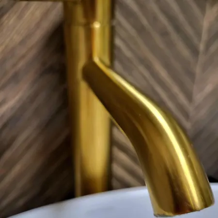 The Lucky Five At Glivia Parking&garden