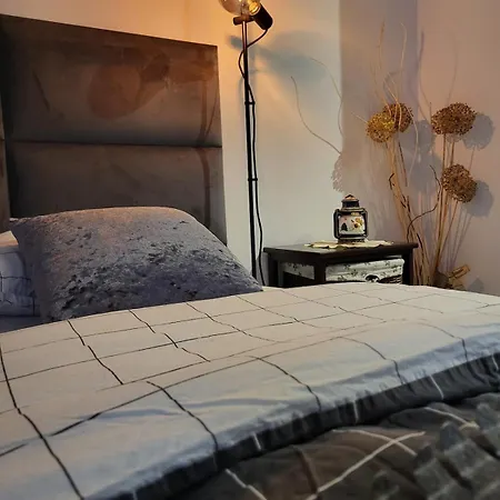 The Lucky Five At Glivia Parking&garden