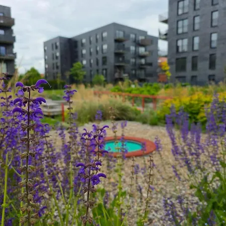 Apartment The Lucky Five At Glivia Parking&garden