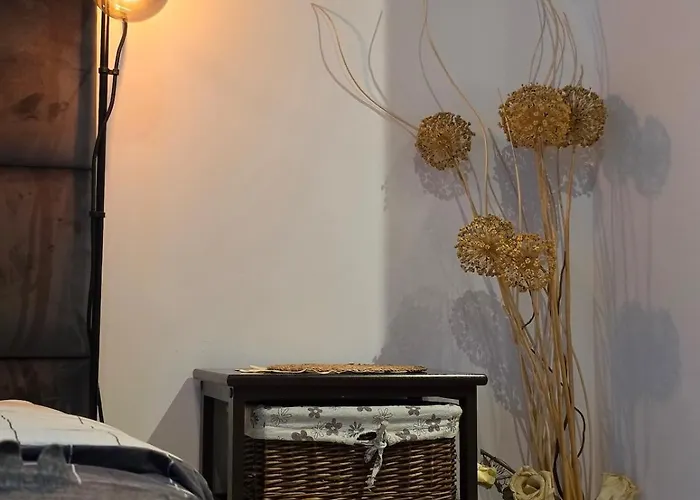 The Lucky Five At Glivia Parking&garden * Gliwice