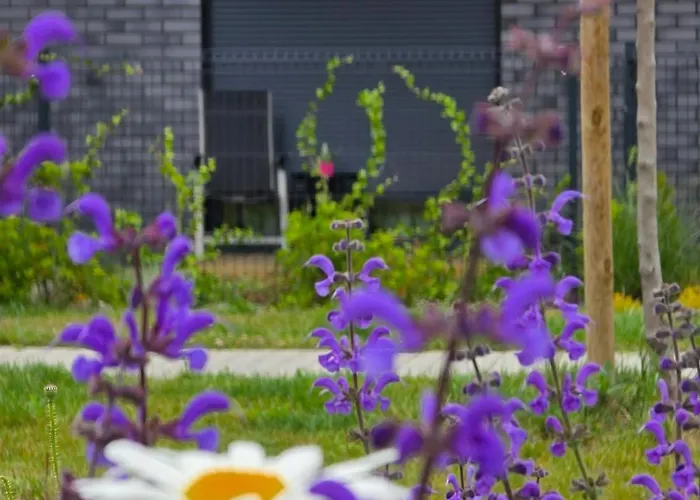 The Lucky Five At Glivia Parking&garden Appartement *